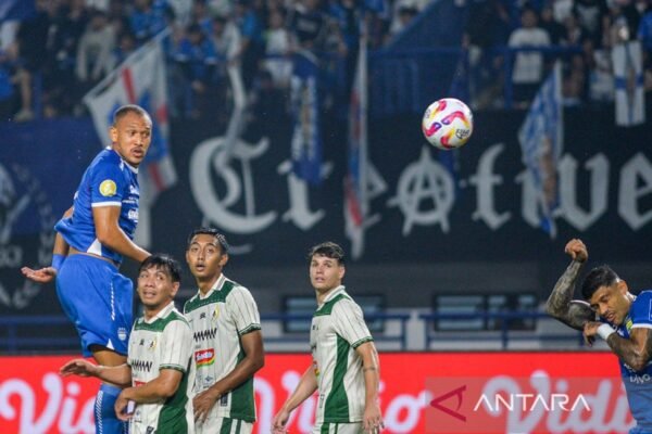 Pertarungan Tujuh Tim untuk Menghindari Zona Degradasi di Liga 1 Indonesia